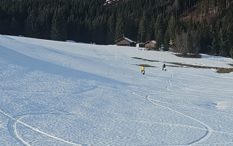 img20240125wa0003.jpeg